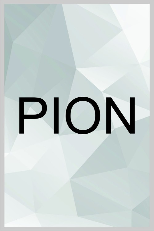 PION.jpg