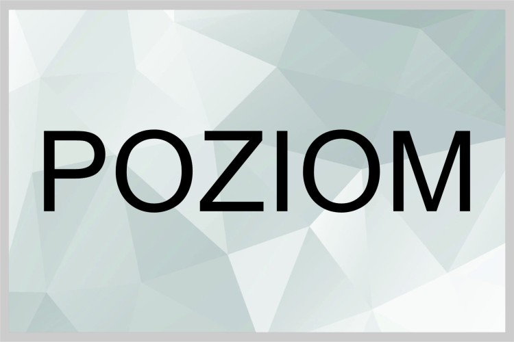 POZIOM.jpg