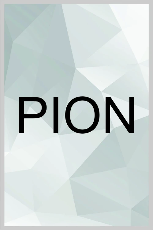 PION.jpg