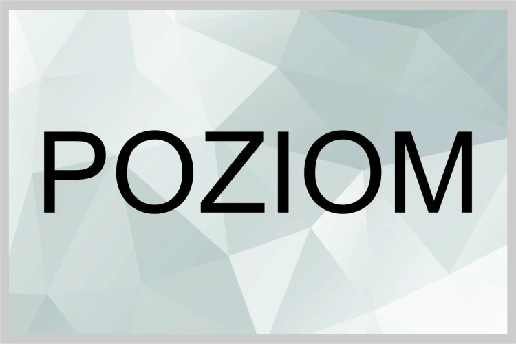 POZIOM.jpg